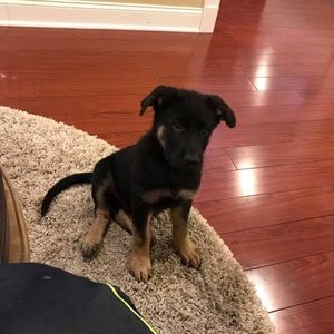 Meet your Posher, Andrea